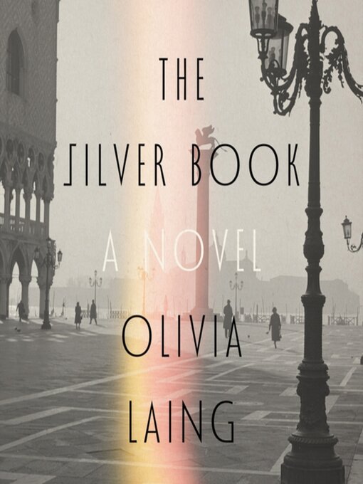 Cover image for The Silver Book